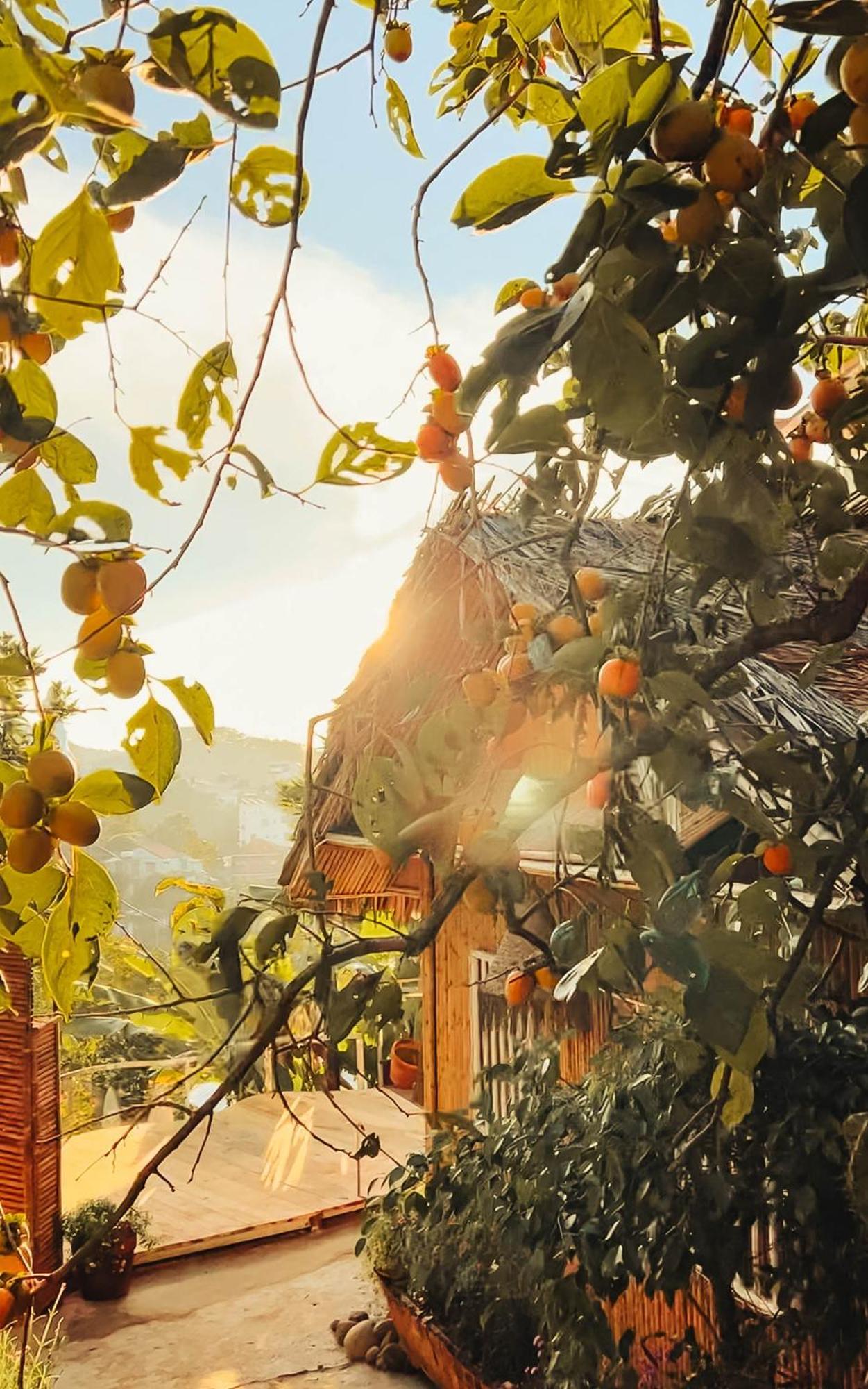Nay Bungalow Dalat Kültér fotó